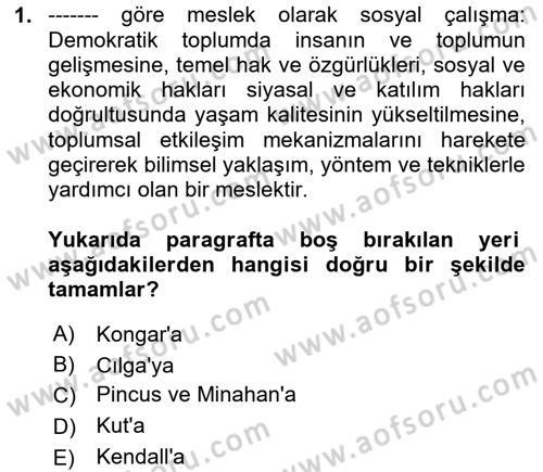Sosyal Hizmete Giriş Dersi 2024 - 2025 Yılı Yaz Okulu Sınav Soruları 1. Soru