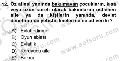 Sosyal Hizmete Giriş Dersi 2024 - 2025 Yılı Yaz Okulu Sınav Soruları 12. Soru