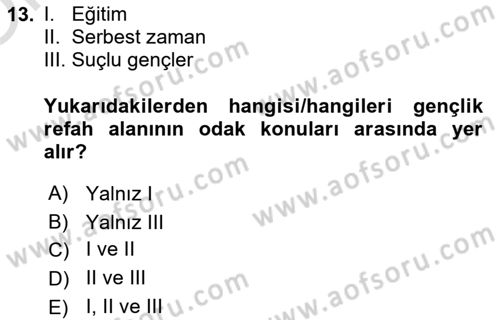 Sosyal Hizmete Giriş Dersi 2024 - 2025 Yılı Yaz Okulu Sınav Soruları 13. Soru