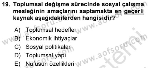 Sosyal Hizmete Giriş Dersi 2024 - 2025 Yılı Yaz Okulu Sınav Soruları 19. Soru