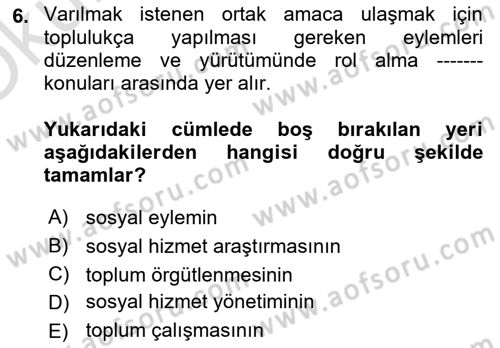 Sosyal Hizmete Giriş Dersi 2024 - 2025 Yılı Yaz Okulu Sınav Soruları 6. Soru
