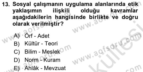 Sosyal Hizmete Giriş Dersi 2025 - 2026 Yılı (Vize) Ara Sınav Soruları 13. Soru