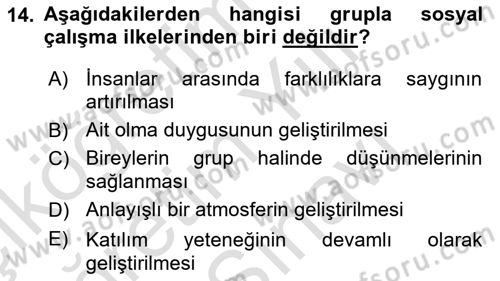 Sosyal Hizmete Giriş Dersi 2025 - 2026 Yılı (Vize) Ara Sınav Soruları 14. Soru