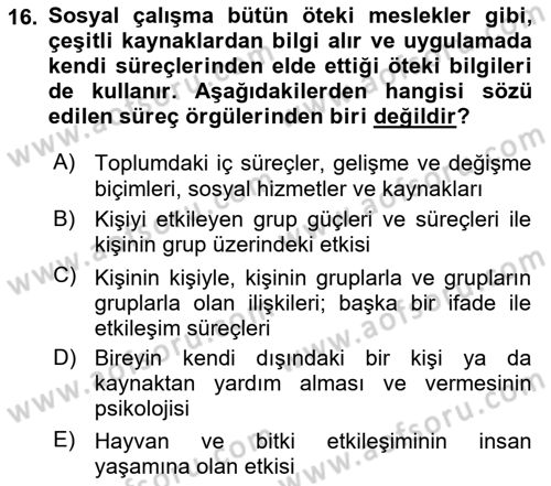 Sosyal Hizmete Giriş Dersi 2025 - 2026 Yılı (Vize) Ara Sınav Soruları 16. Soru