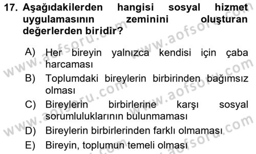 Sosyal Hizmete Giriş Dersi 2025 - 2026 Yılı (Vize) Ara Sınav Soruları 17. Soru