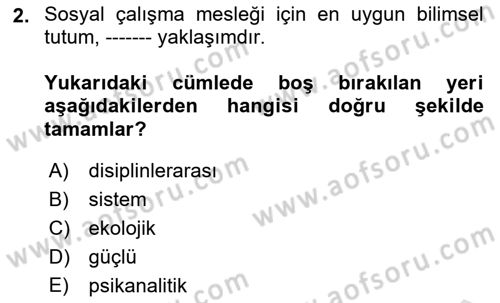 Sosyal Hizmete Giriş Dersi 2025 - 2026 Yılı (Vize) Ara Sınav Soruları 2. Soru
