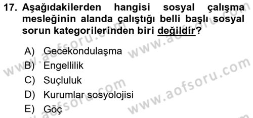 Sosyal Hizmete Giriş Dersi 2025 - 2026 Yılı (Final) Dönem Sonu Sınav Soruları 17. Soru