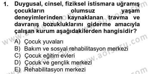 Sosyal Hizmet Kuruluşları Dersi 2012 - 2013 Yılı (Final) Dönem Sonu Sınav Soruları 1. Soru