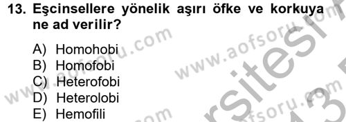 Sosyal Hizmet Kuruluşları Dersi 2012 - 2013 Yılı (Final) Dönem Sonu Sınav Soruları 13. Soru