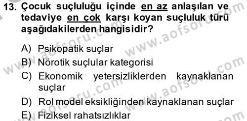 Sosyal Hizmet Kuruluşları Dersi 2013 - 2014 Yılı (Final) Dönem Sonu Sınav Soruları 13. Soru