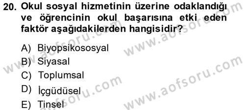 Sosyal Hizmet Kuruluşları Dersi 2013 - 2014 Yılı (Final) Dönem Sonu Sınav Soruları 20. Soru