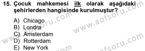 Sosyal Hizmet Kuruluşları Dersi 2013 - 2014 Yılı Tek Ders Sınav Soruları 15. Soru