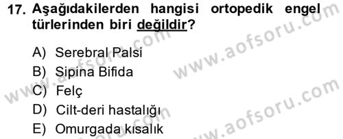 Sosyal Hizmet Kuruluşları Dersi 2014 - 2015 Yılı (Vize) Ara Sınav Soruları 17. Soru