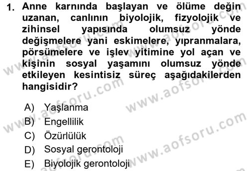Sosyal Hizmet Kuruluşları Dersi 2016 - 2017 Yılı (Final) Dönem Sonu Sınav Soruları 1. Soru