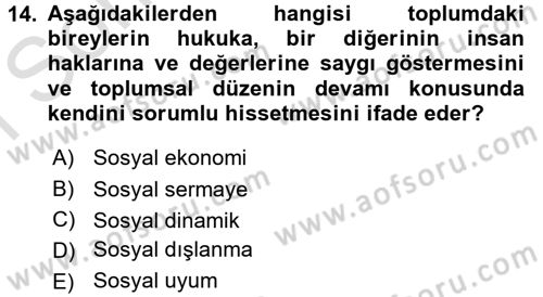 Sosyal Hizmet Kuruluşları Dersi 2016 - 2017 Yılı (Final) Dönem Sonu Sınav Soruları 14. Soru