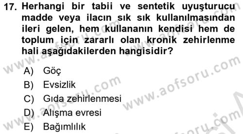 Sosyal Hizmet Kuruluşları Dersi 2016 - 2017 Yılı (Final) Dönem Sonu Sınav Soruları 17. Soru