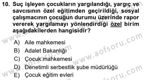 Sosyal Hizmet Kuruluşları Dersi 2017 - 2018 Yılı 3 Ders Sınav Soruları 10. Soru