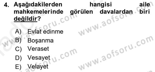 Sosyal Hizmet Kuruluşları Dersi 2017 - 2018 Yılı 3 Ders Sınav Soruları 4. Soru
