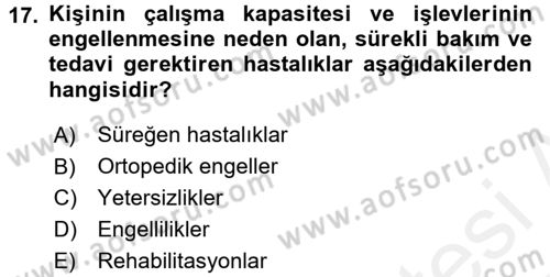 Sosyal Hizmet Kuruluşları Dersi 2017 - 2018 Yılı (Vize) Ara Sınav Soruları 17. Soru
