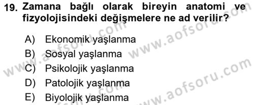 Sosyal Hizmet Kuruluşları Dersi 2017 - 2018 Yılı (Vize) Ara Sınav Soruları 19. Soru