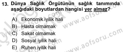 Sosyal Hizmet Kuruluşları Dersi 2018 - 2019 Yılı 3 Ders Sınav Soruları 13. Soru