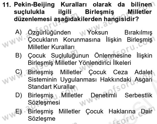 Sosyal Hizmet Kuruluşları Dersi 2018 - 2019 Yılı (Final) Dönem Sonu Sınav Soruları 11. Soru