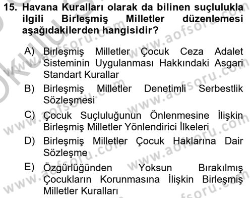 Sosyal Hizmet Kuruluşları Dersi 2018 - 2019 Yılı Yaz Okulu Sınav Soruları 15. Soru