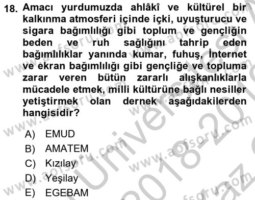 Sosyal Hizmet Kuruluşları Dersi 2018 - 2019 Yılı Yaz Okulu Sınav Soruları 18. Soru