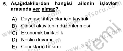 Sosyal Hizmet Kuruluşları Dersi 2018 - 2019 Yılı Yaz Okulu Sınav Soruları 5. Soru