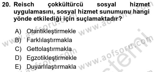 Sosyal Hizmet Kuruluşları Dersi 2020 - 2021 Yılı Yaz Okulu Sınav Soruları 20. Soru