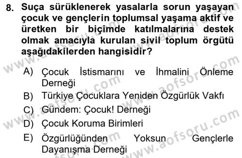 Sosyal Hizmet Kuruluşları Dersi 2020 - 2021 Yılı Yaz Okulu Sınav Soruları 8. Soru