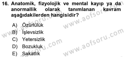 Sosyal Hizmet Kuruluşları Dersi 2023 - 2024 Yılı (Vize) Ara Sınav Soruları 16. Soru