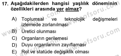 Sosyal Hizmet Kuruluşları Dersi 2023 - 2024 Yılı (Vize) Ara Sınav Soruları 17. Soru