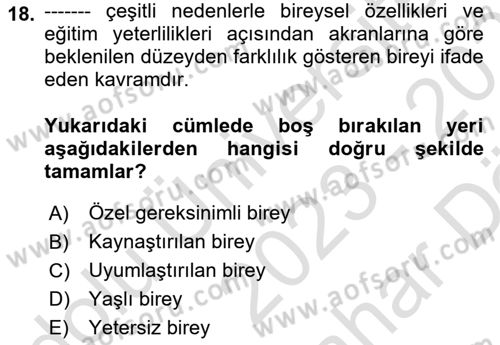 Sosyal Hizmet Kuruluşları Dersi 2023 - 2024 Yılı (Vize) Ara Sınav Soruları 18. Soru