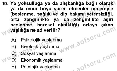 Sosyal Hizmet Kuruluşları Dersi 2023 - 2024 Yılı (Vize) Ara Sınav Soruları 19. Soru