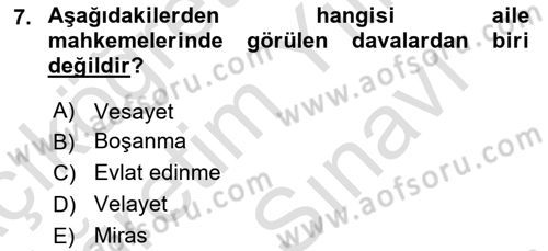 Sosyal Hizmet Kuruluşları Dersi 2023 - 2024 Yılı (Vize) Ara Sınav Soruları 7. Soru