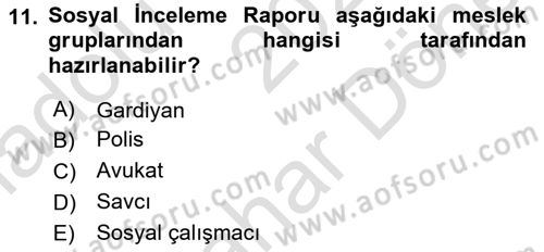 Sosyal Hizmet Kuruluşları Dersi 2023 - 2024 Yılı (Final) Dönem Sonu Sınav Soruları 11. Soru