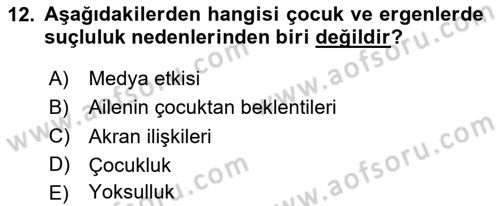 Sosyal Hizmet Kuruluşları Dersi 2023 - 2024 Yılı (Final) Dönem Sonu Sınav Soruları 12. Soru