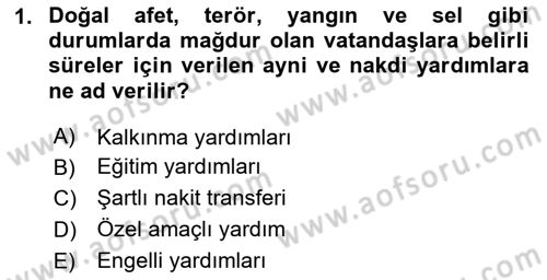 Sosyal Hizmet Kuruluşları Dersi 2023 - 2024 Yılı Yaz Okulu Sınav Soruları 1. Soru