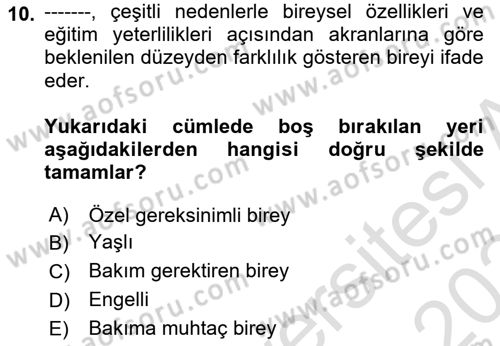 Sosyal Hizmet Kuruluşları Dersi 2023 - 2024 Yılı Yaz Okulu Sınav Soruları 10. Soru