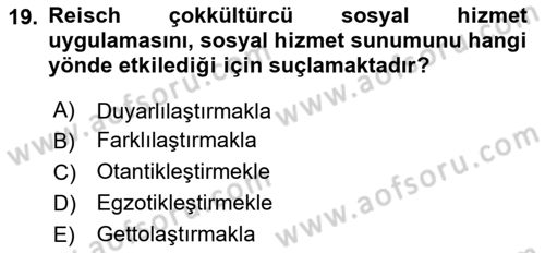 Sosyal Hizmet Kuruluşları Dersi 2023 - 2024 Yılı Yaz Okulu Sınav Soruları 19. Soru
