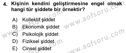 Sosyal Hizmet Kuruluşları Dersi 2023 - 2024 Yılı Yaz Okulu Sınav Soruları 4. Soru