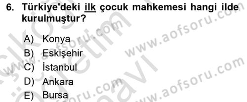 Sosyal Hizmet Kuruluşları Dersi 2023 - 2024 Yılı Yaz Okulu Sınav Soruları 6. Soru