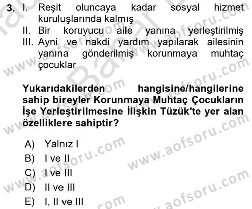 Sosyal Hizmet Kuruluşları Dersi 2024 - 2025 Yılı (Final) Dönem Sonu Sınav Soruları 3. Soru