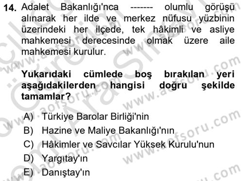 Sosyal Hizmet Kuruluşları Dersi 2025 - 2026 Yılı (Vize) Ara Sınav Soruları 14. Soru