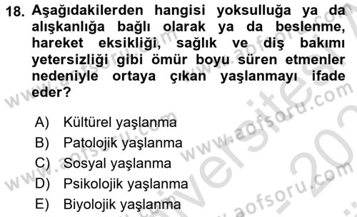 Sosyal Hizmet Kuruluşları Dersi 2025 - 2026 Yılı (Vize) Ara Sınav Soruları 18. Soru