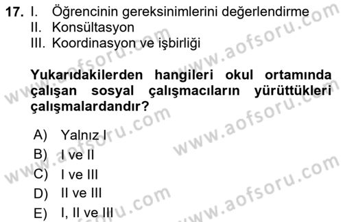 Sosyal Hizmet Kuruluşları Dersi 2025 - 2026 Yılı (Final) Dönem Sonu Sınav Soruları 17. Soru