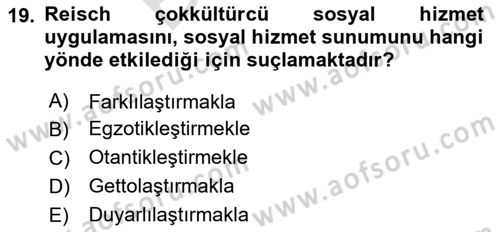 Sosyal Hizmet Kuruluşları Dersi 2025 - 2026 Yılı (Final) Dönem Sonu Sınav Soruları 19. Soru