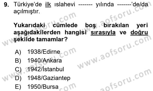 Sosyal Hizmet Kuruluşları Dersi 2025 - 2026 Yılı (Final) Dönem Sonu Sınav Soruları 9. Soru