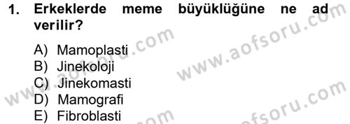 Temel Sağlık Hizmetleri Dersi 2012 - 2013 Yılı (Vize) Ara Sınav Soruları 1. Soru